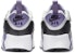 Nike Air Max 90 Easy On White/Dusty Amethyst/Photon Dust/Light Smoke Gray IH1417-129