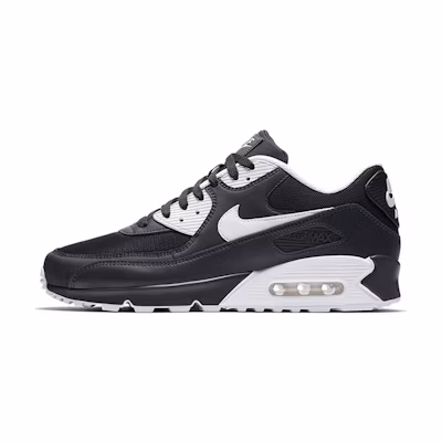 Nike Air Max 90 Essential 'Anthracite' 2018