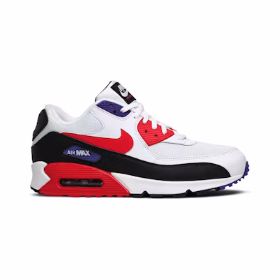 Nike Air Max 90 Essential 'Raptors'