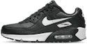 Buy Nike Air Max 90 LTR Kasut Sneaker CD6864-029