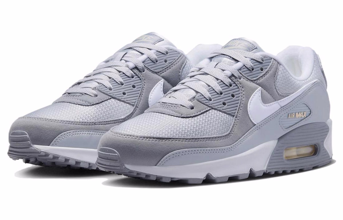 Nike Air Max 90 Next Nature 'Greyscale' FJ4824-001