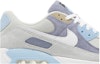 Order 耐克Air Max 90 NRG '灰板岩浅骨色' DM0035-400