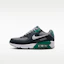 Buy Nike Air Max 90 Pencil Point/Malachite/Anthracite/Photon Dust IQ0098-006