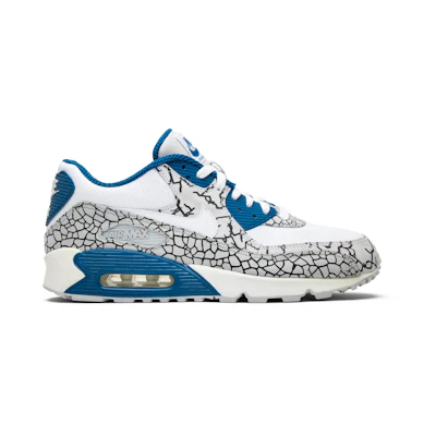 Nike Air Max 90 PRM 'Hufquake'