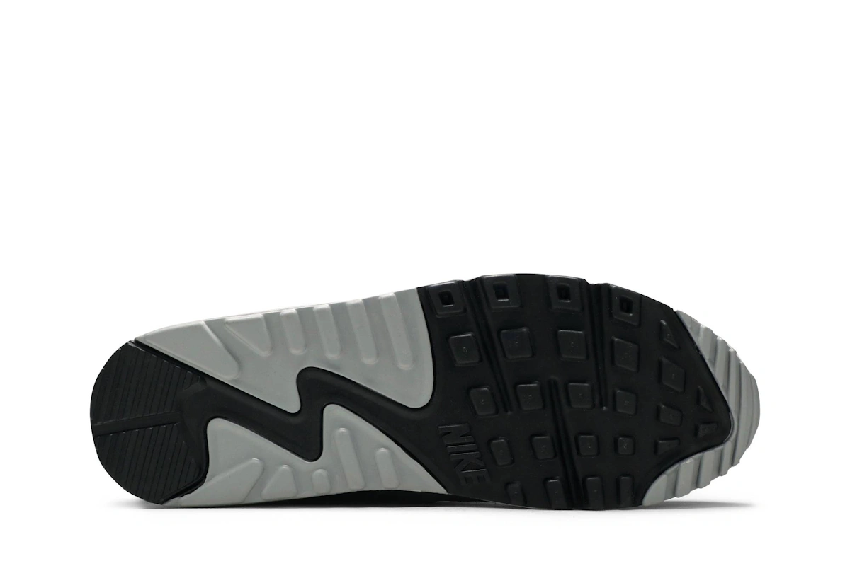 Nike Air Max 90 Premium 'Light Smoke Grey' DA1641-001