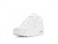 Buy 耐吉 Air Max 90 頂峰白