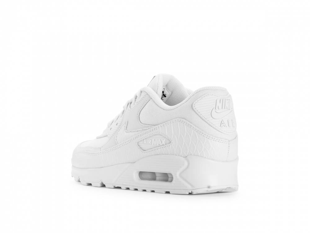 Shop 耐吉 Air Max 90 頂峰白