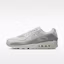 Buy Nike Air Max 90 Premium Off White/Gray Fog/Smoke Gray/Photon Dust IM5759-100