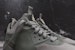 Nike Air Max 90 Sneakerboot Patch Hijau 704570-300