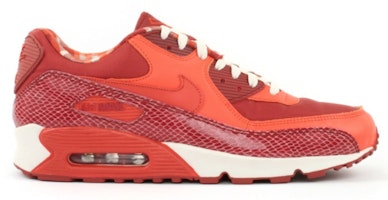 Nike Air Max 90 Steve Nash 314864-881 Nike Air Max 90 Steve Nash 314864-881