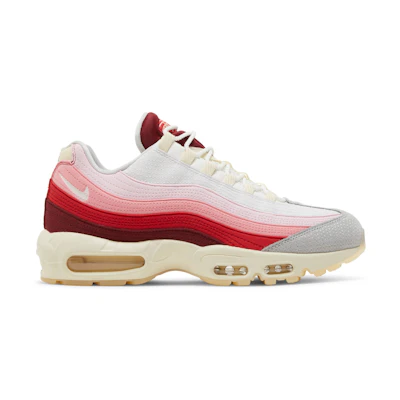 Nike Air Max 95 'Anatomy of Air'
