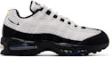 Buy Nike Air Max 95 ''大氣墊 - 家庭重聚 法國版'' IQ0284-010