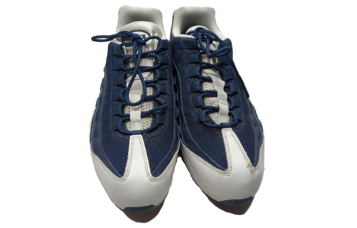 Lookbook 耐克Air Max 95 '蓝灰' 314350-998