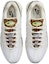 Shop Nike Air Max 95 'Lidah Harimau Bintang' DX8972-100