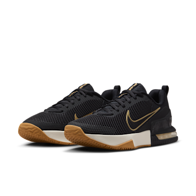 Purchase ナイキ エア マックス アルファ トレーナー 6 ブラック/セイル/ライトブラウン/ベージュ FQ1833-012