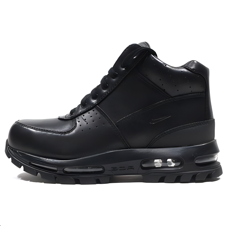 Nike Air Max Goadome 2013 'Black' 599474-050