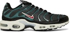 Buy Nike Air Max Plus 'Antracita Hasta' DC6094-002