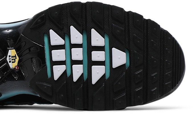 Nike Air Max Plus 'Aqua Silver' CV8838-400 Purchase Nike Air Max Plus 'Aqua Silver' CV8838-400