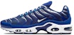 Nike Air Max Plus 'Arctic Chill' - Ais Dingin CW7024-400