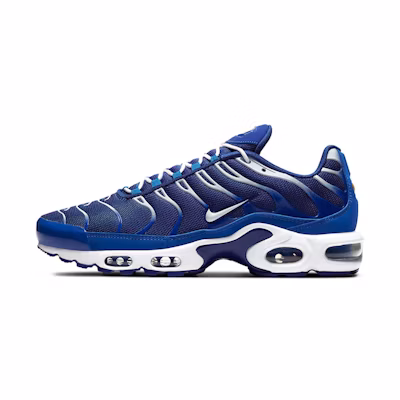 Nike Air Max Plus 'Arctic Chill'