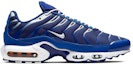 Order Nike Air Max Plus 'Arctic Chill' - Ais Dingin CW7024-400
