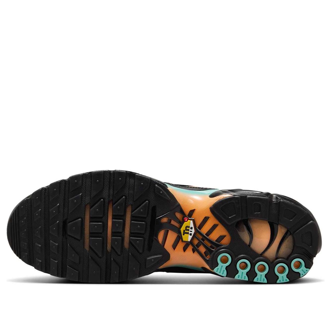 Details for Nike Air Max Plus '極光綠 橙色脈衝' DM0032-022