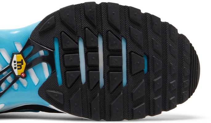 Nike Air Max Plus 'Baltic Blue' FD9751-100 Purchase Nike Air Max Plus 'Baltic Blue' FD9751-100
