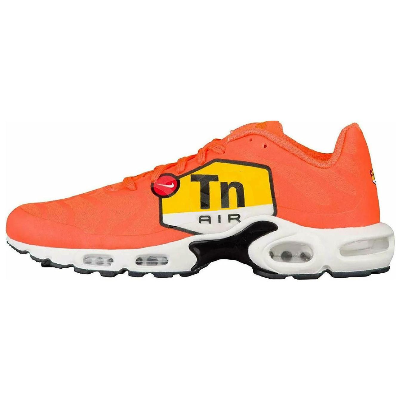 Nike Air Max Plus 'Big Logo' AJ7181-800