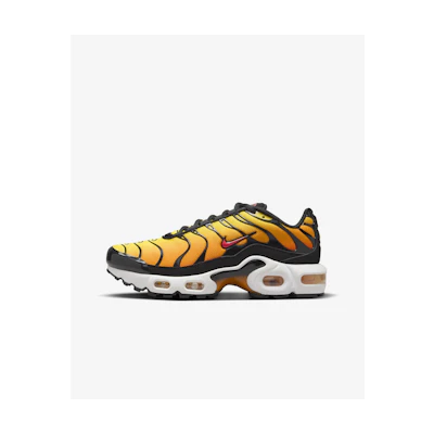 (Youth) Nike Air Max Plus 'Black Bright Ceramic'