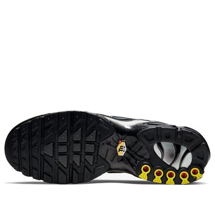 Details for 耐吉Air Max Plus 黑蓝