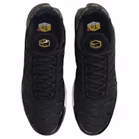 Purchase Nike Air Max Plus ''Schwarz University Gold'' DM0032-013
