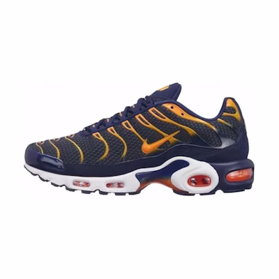 Nike Air Max Plus 'Blue Void'