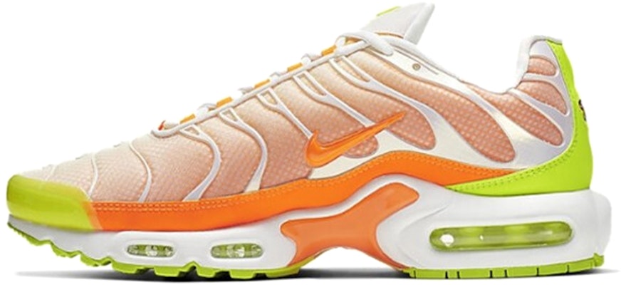Nike Air Max Plus 'Color Flip' CI5924-531 Buy Nike Air Max Plus 'Color Flip' CI5924-531