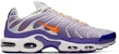 Nike Air Max Plus 'Warna Bertukar' CI5924-531