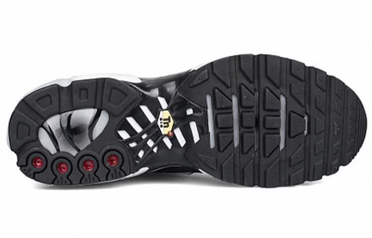 Details for 나이키 에어맥스 플러스 '다크 그레이' 852630-016