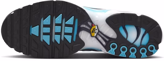 Details for Nike Air Max Plus 'Dark Obsidian' IH4460-400