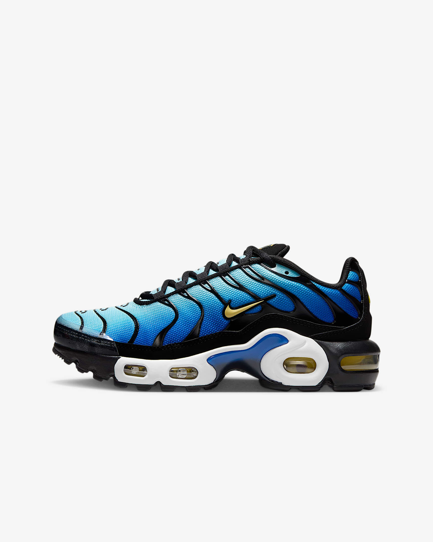 (Youth) Nike Air Max Plus [Direct Online Exclusive] CD0609-032