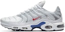 Buy ナイキ エア マックス プラス "ユーロツアー" (グレー) CW7575-001