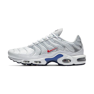 Nike Air Max Plus 'Euro Tour - Particle Grey'
