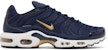 Nike Air Max Plus 'Persekutuan Bolasepak Perancis' FB3350-400