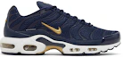 Buy Nike Air Max Plus 'Persekutuan Bolasepak Perancis' FB3350-400