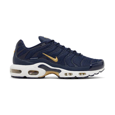 Nike Air Max Plus 'French Football Federation'