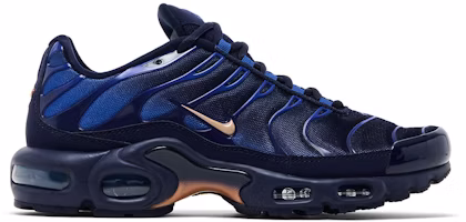 Nike Air Max Plus 'French Football Federation' IQ0170-400 Nike Air Max Plus 'French Football Federation' IQ0170-400