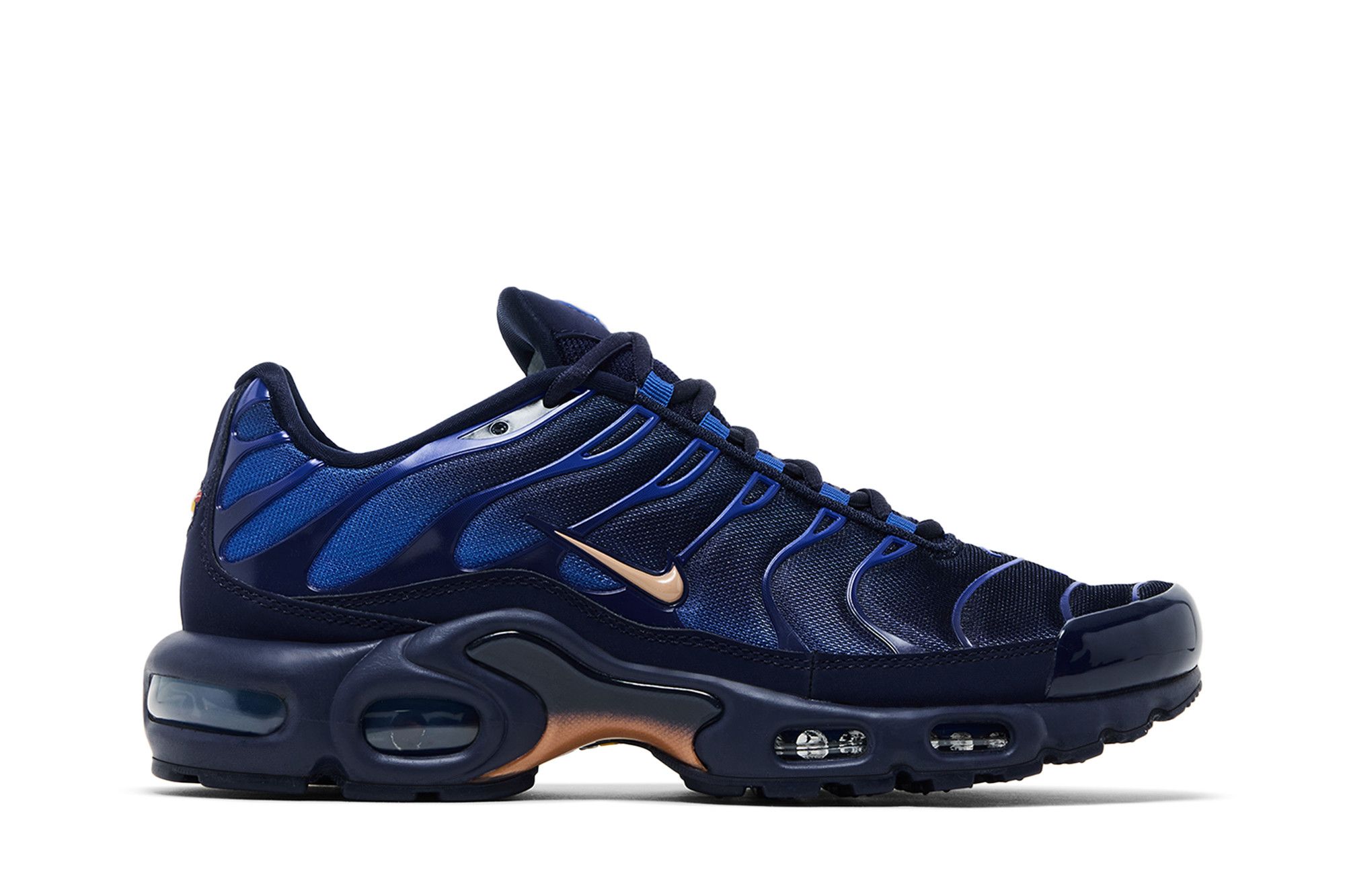 Nike Air Max Plus 'French Football Federation' IQ0170-400