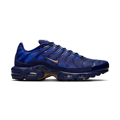 Nike Air Max Plus 'French Football Federation'