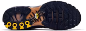 Shop Nike Air Max Plus ''Franse Voetbalbond'' IQ0170-400