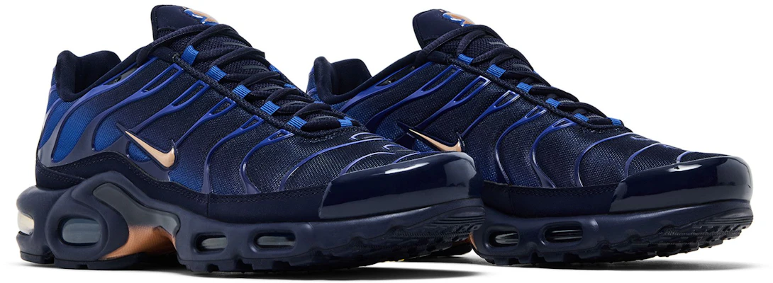 Nike Air Max Plus ''Franse Voetbalbond'' IQ0170-400 Cheap Nike Air Max Plus ''Franse Voetbalbond'' IQ0170-400