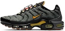 Buy Nike Air Max Plus 'Pandangan Segar' DC7392-300