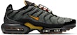 Nike Air Max Plus 'Pandangan Segar' DC7392-300