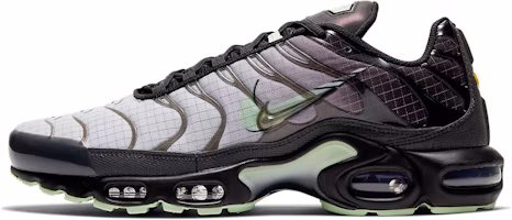 Nike Air Max Plus 'Future Swoosh' CT1619-001